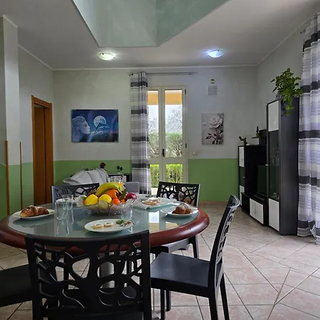 Sara פלורידיה